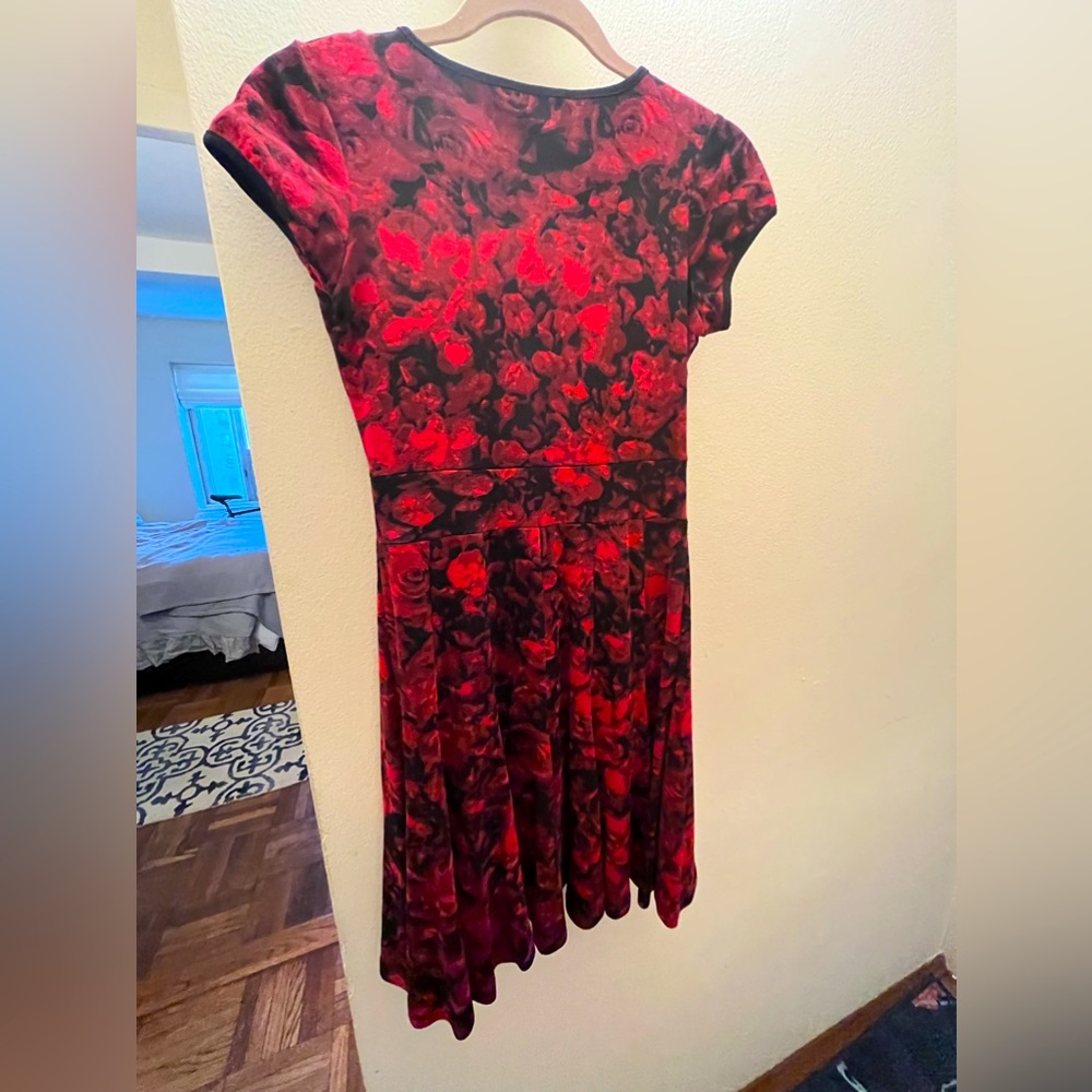 Binh ha dress